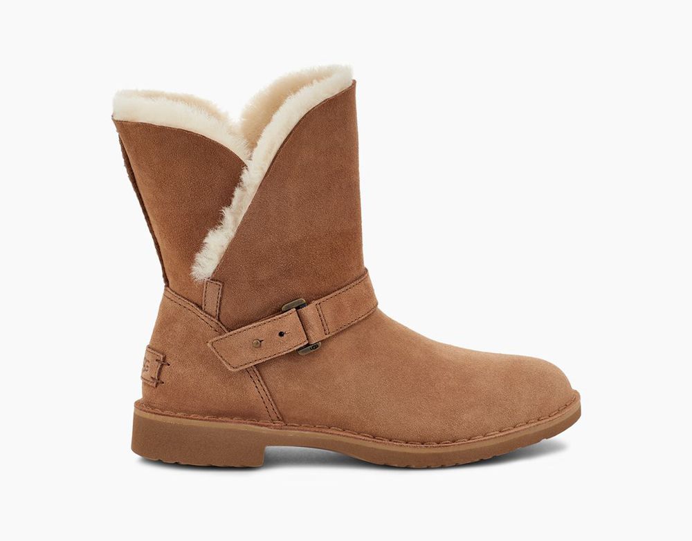 Ugg Short Boots Canada - Ugg Women's Syden Brown